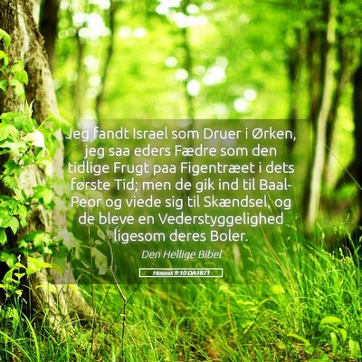 Picture 05 - Hoseas 9:10 DA1871 - Jeg fandt Israel som Druer i Ørken, jeg saa - Bible Verse Picture