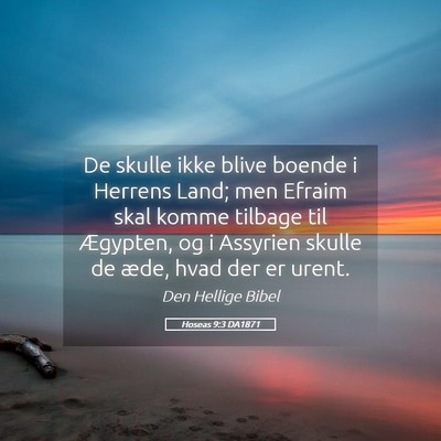 Picture 05 - Hoseas 9:3 DA1871 - De skulle ikke blive boende i Herrens Land; men - Bible Verse Picture