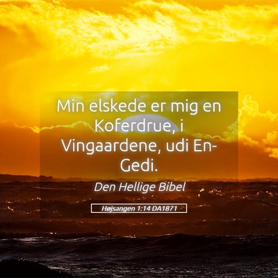 Picture 05 - Højsangen 1:14 DA1871 - Min elskede er mig en Koferdrue, i Vingaardene, - Bible Verse Picture