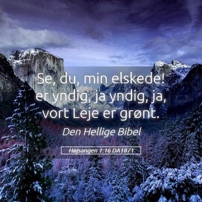 Picture 05 - Højsangen 1:16 DA1871 - Se, du, min elskede! er yndig, ja yndig, ja, vort - Bible Verse Picture