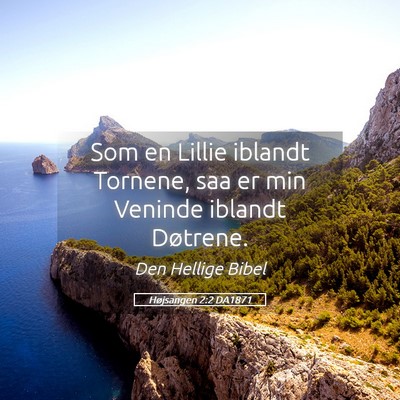 Picture 05 - Højsangen 2:2 DA1871 - Som en Lillie iblandt Tornene, saa er min Veninde - Bible Verse Picture