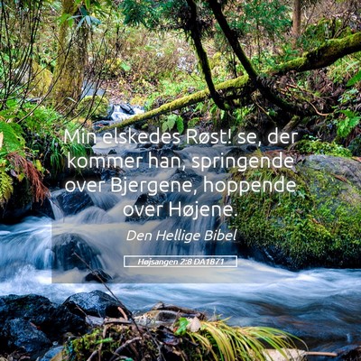 Picture 05 - Højsangen 2:8 DA1871 - Min elskedes Røst! se, der kommer han, - Bible Verse Picture