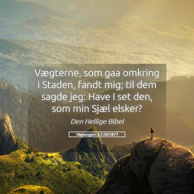Picture 05 - Højsangen 3:3 DA1871 - Vægterne, som gaa omkring i Staden, fandt mig; - Bible Verse Picture