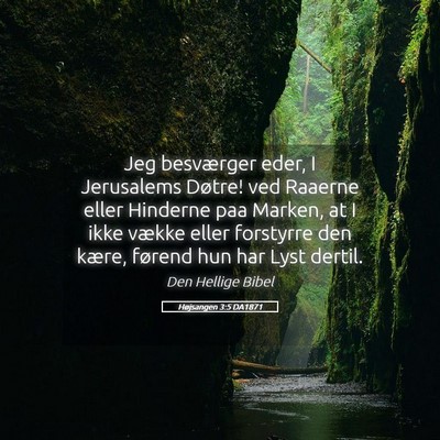 Picture 05 - Højsangen 3:5 DA1871 - Jeg besværger eder, I Jerusalems Døtre! ved - Bible Verse Picture