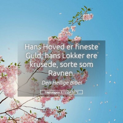 Picture 05 - Højsangen 5:11 DA1871 - Hans Hoved er fineste Guld; hans Lokker ere - Bible Verse Picture