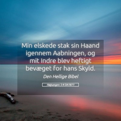 Picture 05 - Højsangen 5:4 DA1871 - Min elskede stak sin Haand igennem Aabningen, og - Bible Verse Picture