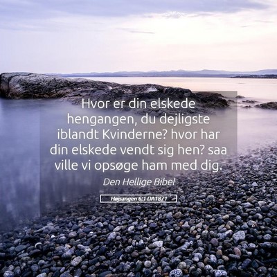 Picture 05 - Højsangen 6:1 DA1871 - Hvor er din elskede hengangen, du dejligste - Bible Verse Picture