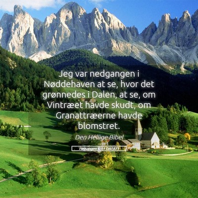 Picture 05 - Højsangen 6:11 DA1871 - Jeg var nedgangen i Nøddehaven at se, hvor det - Bible Verse Picture
