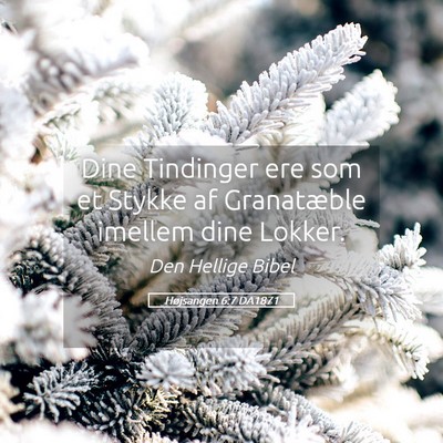 Picture 05 - Højsangen 6:7 DA1871 - Dine Tindinger ere som et Stykke af Granatæble - Bible Verse Picture