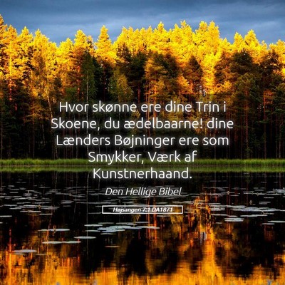 Picture 05 - Højsangen 7:1 DA1871 - Hvor skønne ere dine Trin i Skoene, du - Bible Verse Picture