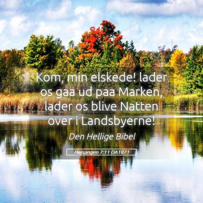 Picture 05 - Højsangen 7:11 DA1871 - Kom, min elskede! lader os gaa ud paa Marken, - Bible Verse Picture