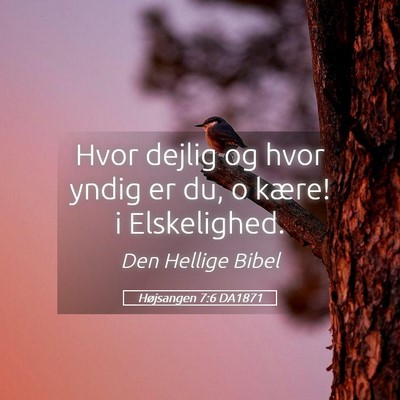Picture 05 - Højsangen 7:6 DA1871 - Hvor dejlig og hvor yndig er du, o kære! i - Bible Verse Picture
