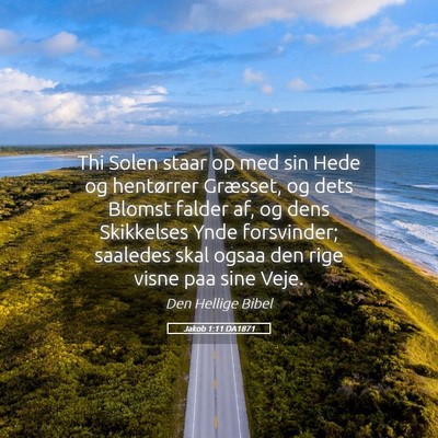 Picture 05 - Jakob 1:11 DA1871 - Thi Solen staar op med sin Hede og hentørrer - Bible Verse Picture