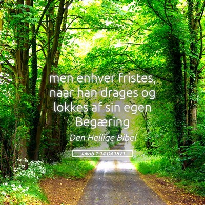 Picture 05 - Jakob 1:14 DA1871 - men enhver fristes, naar han drages og lokkes af - Bible Verse Picture