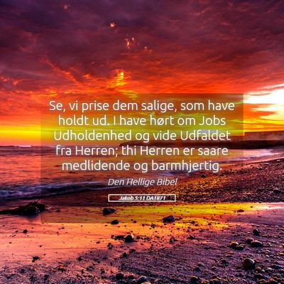 Picture 05 - Jakob 5:11 DA1871 - Se, vi prise dem salige, som have holdt ud. I - Bible Verse Picture