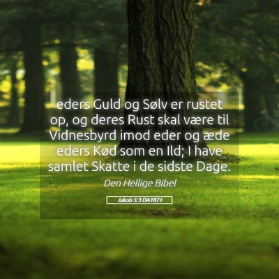 Picture 05 - Jakob 5:3 DA1871 - eders Guld og Sølv er rustet op, og deres Rust - Bible Verse Picture