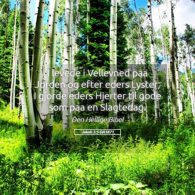 Picture 05 - Jakob 5:5 DA1871 - I levede i Vellevned paa Jorden og efter eders - Bible Verse Picture