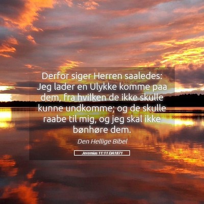 Picture 05 - Jeremias 11:11 DA1871 - Derfor siger Herren saaledes: Jeg lader en Ulykke - Bible Verse Picture