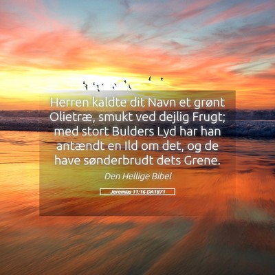 Picture 05 - Jeremias 11:16 DA1871 - Herren kaldte dit Navn et grønt Olietræ, smukt - Bible Verse Picture