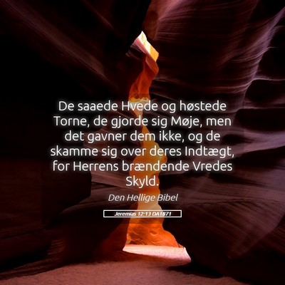 Picture 05 - Jeremias 12:13 DA1871 - De saaede Hvede og høstede Torne, de gjorde sig - Bible Verse Picture