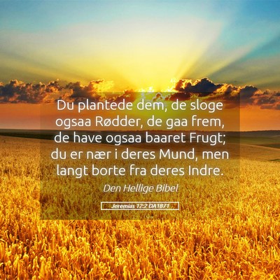 Picture 05 - Jeremias 12:2 DA1871 - Du plantede dem, de sloge ogsaa Rødder, de gaa - Bible Verse Picture