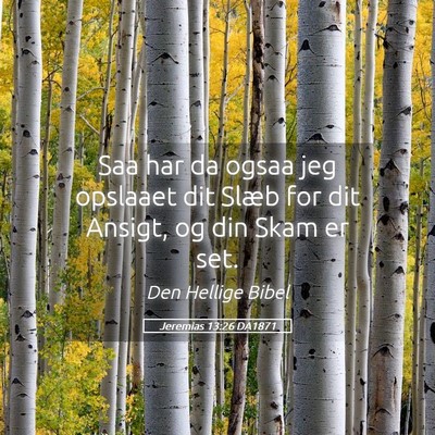 Picture 05 - Jeremias 13:26 DA1871 - Saa har da ogsaa jeg opslaaet dit Slæb for dit - Bible Verse Picture