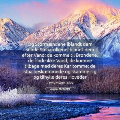 Picture 05 - Jeremias 14:3 DA1871 - Og Stormændene iblandt dem sende Smaafolkene - Bible Verse Picture