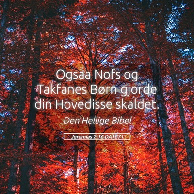 Picture 05 - Jeremias 2:16 DA1871 - Ogsaa Nofs og Takfanes Børn gjorde din Hovedisse - Bible Verse Picture
