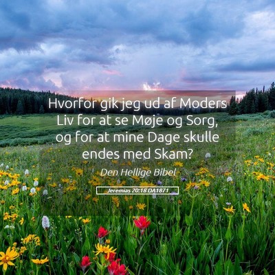 Picture 05 - Jeremias 20:18 DA1871 - Hvorfor gik jeg ud af Moders Liv for at se Møje - Bible Verse Picture