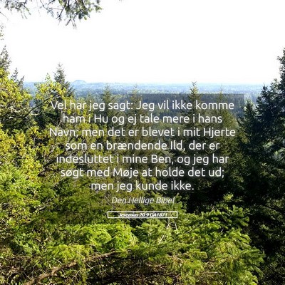 Picture 05 - Jeremias 20:9 DA1871 - Vel har jeg sagt: Jeg vil ikke komme ham i Hu og - Bible Verse Picture