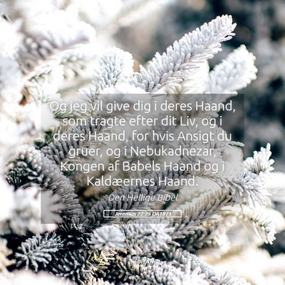 Picture 05 - Jeremias 22:25 DA1871 - Og jeg vil give dig i deres Haand, som tragte - Bible Verse Picture