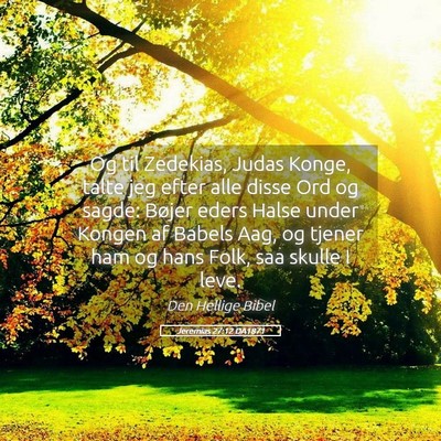 Picture 05 - Jeremias 27:12 DA1871 - Og til Zedekias, Judas Konge, talte jeg efter - Bible Verse Picture