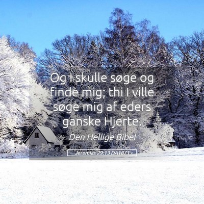 Picture 05 - Jeremias 29:13 DA1871 - Og I skulle søge og finde mig; thi I ville søge - Bible Verse Picture