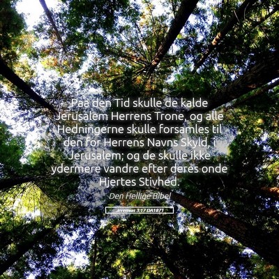 Picture 05 - Jeremias 3:17 DA1871 - Paa den Tid skulle de kalde Jerusalem Herrens - Bible Verse Picture