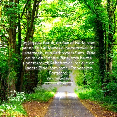 Picture 05 - Jeremias 32:12 DA1871 - Og jeg gav Baruk, en Søn af Neria, som var en - Bible Verse Picture