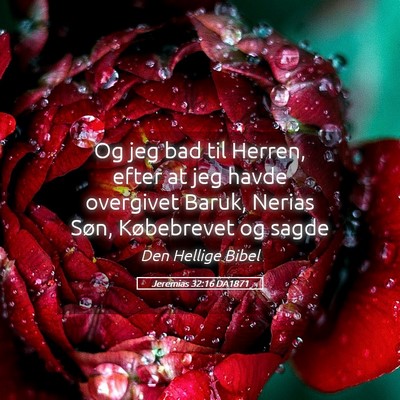 Picture 05 - Jeremias 32:16 DA1871 - Og jeg bad til Herren, efter at jeg havde - Bible Verse Picture