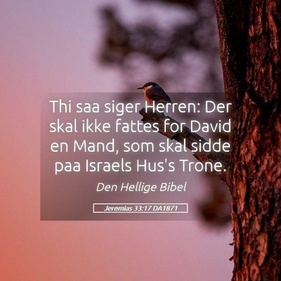 Picture 05 - Jeremias 33:17 DA1871 - Thi saa siger Herren: Der skal ikke fattes for - Bible Verse Picture