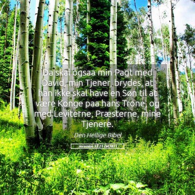 Picture 05 - Jeremias 33:21 DA1871 - Da skal ogsaa min Pagt med David, min Tjener, - Bible Verse Picture