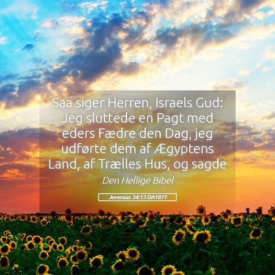 Picture 05 - Jeremias 34:13 DA1871 - Saa siger Herren, Israels Gud: Jeg sluttede en - Bible Verse Picture
