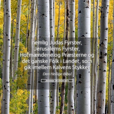 Picture 05 - Jeremias 34:19 DA1871 - nemlig Judas Fyrster, Jerusalems Fyrster, - Bible Verse Picture