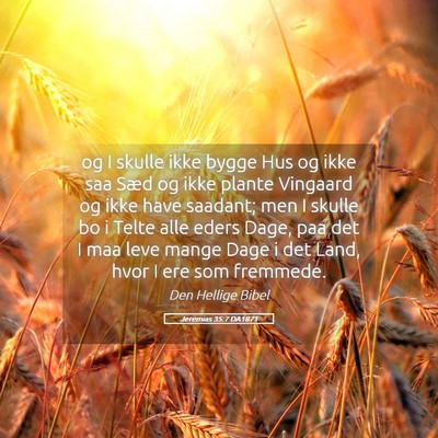 Picture 05 - Jeremias 35:7 DA1871 - og I skulle ikke bygge Hus og ikke saa Sæd og - Bible Verse Picture