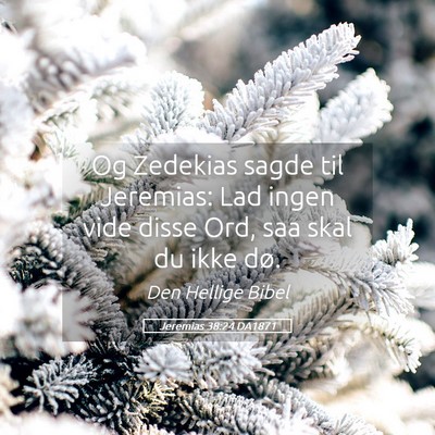 Picture 05 - Jeremias 38:24 DA1871 - Og Zedekias sagde til Jeremias: Lad ingen vide - Bible Verse Picture