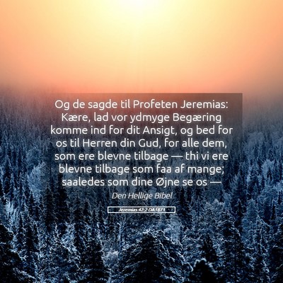 Picture 05 - Jeremias 42:2 DA1871 - Og de sagde til Profeten Jeremias: Kære, lad vor - Bible Verse Picture