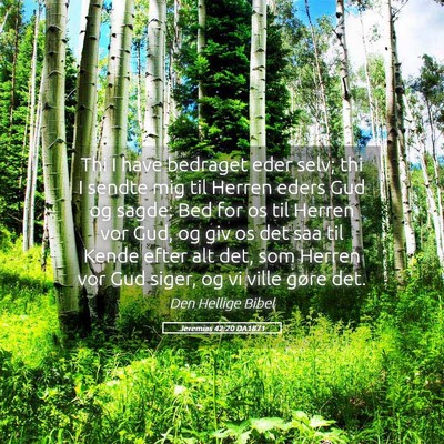 Picture 05 - Jeremias 42:20 DA1871 - Thi I have bedraget eder selv; thi I sendte mig - Bible Verse Picture