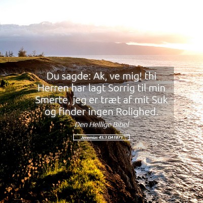 Picture 05 - Jeremias 45:3 DA1871 - Du sagde: Ak, ve mig! thi Herren har lagt Sorrig - Bible Verse Picture