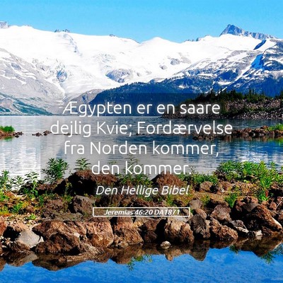 Picture 05 - Jeremias 46:20 DA1871 - Ægypten er en saare dejlig Kvie; Fordærvelse - Bible Verse Picture