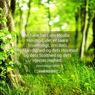 Picture 05 - Jeremias 48:29 DA1871 - Vi have hørt om Moabs Hovmod, det er saare - Bible Verse Picture