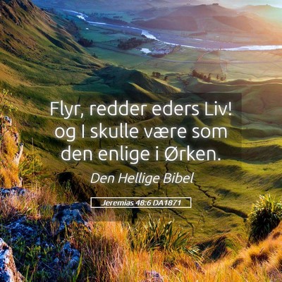 Picture 05 - Jeremias 48:6 DA1871 - Flyr, redder eders Liv! og I skulle være som den - Bible Verse Picture