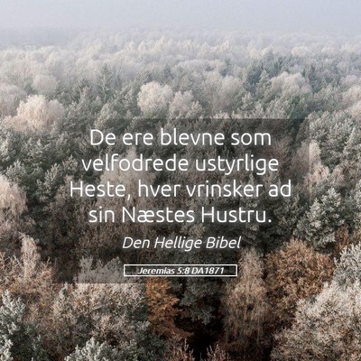 Picture 05 - Jeremias 5:8 DA1871 - De ere blevne som velfodrede ustyrlige Heste, - Bible Verse Picture