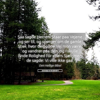 Picture 05 - Jeremias 6:16 DA1871 - Saa sagde Herren: Staar paa Vejene og ser til, og - Bible Verse Picture